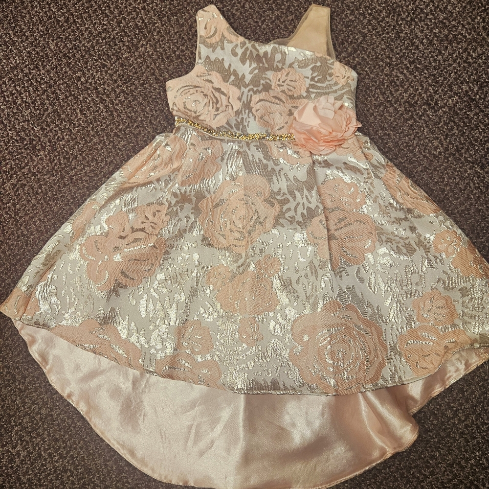 Beautiful Sheer One Shoulder High Low Dress size 6